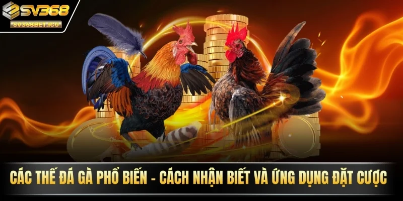 các thế đá gà phổ biến