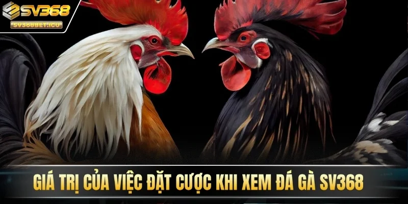 Giá trị của việc đặt cược khi xem đá gà SV368