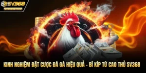 kinh nghiệm đặt cược đá gà