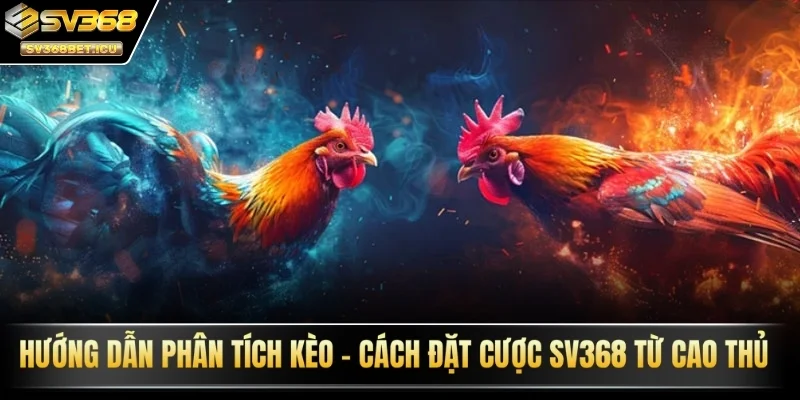 Hướng dẫn phân tích kèo - Cách đặt cược SV368 từ cao thủ