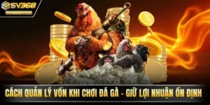 quản lý vốn khi chơi đá gà