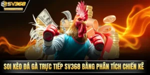 soi kèo đá gà trực tiếp SV368