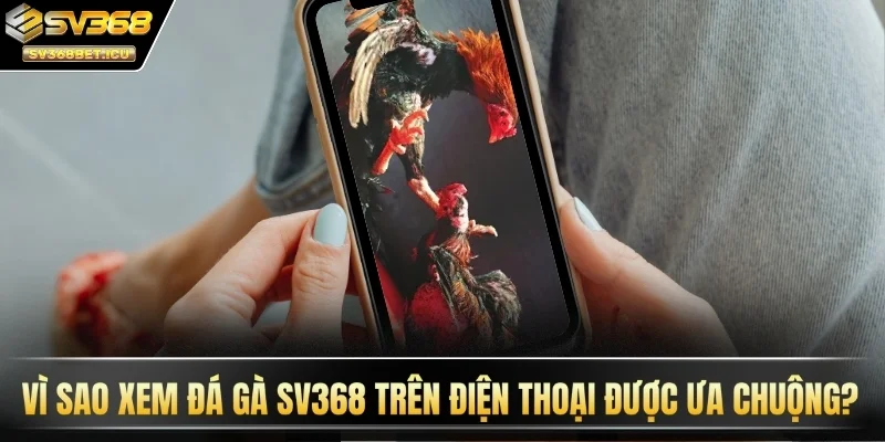 Vì sao xem đá gà SV368 trên điện thoại được ưa chuộng?